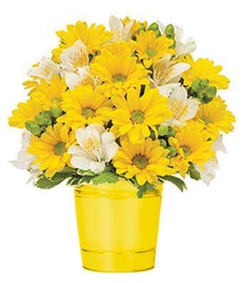 Sunshine Daisies Bouquet